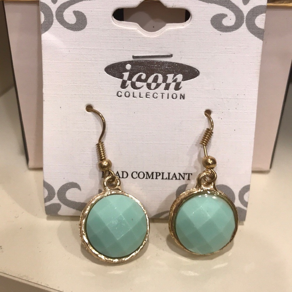 Icon Collection Mint Green Dangle Earrings NEW